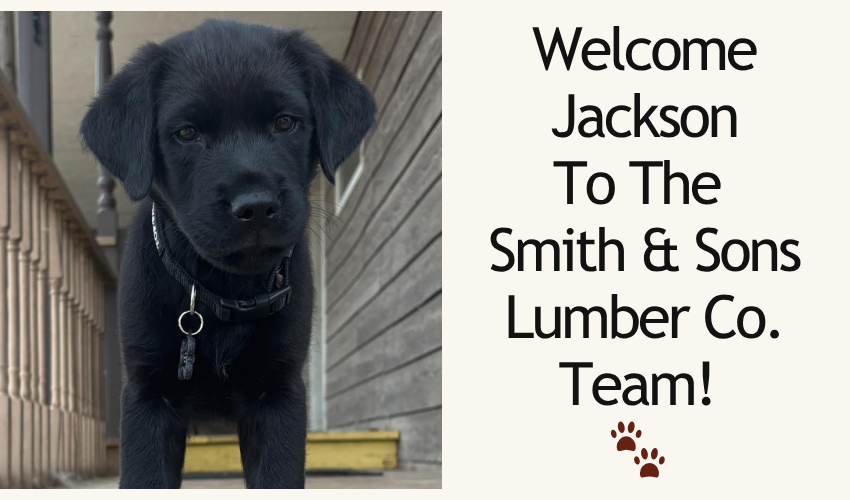 📣 Meet Our Newest Team Member at Smith & Sons Lumber Co. 🐾